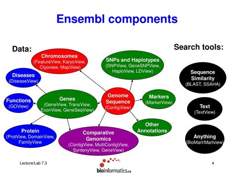 ensembl blast|ensembl database.